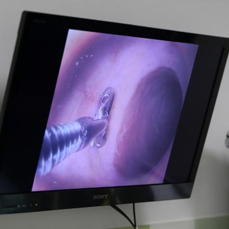 Techniques d'endoscopie vétérinaire - place au diagnostique mini invasif