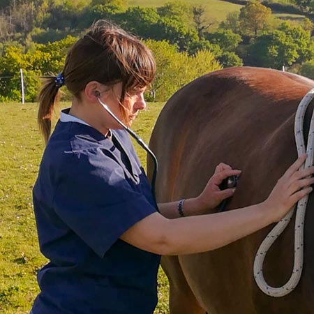 Médecine Préventive Equine