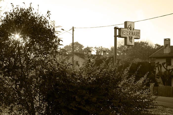 Le docteur Roger CARRERE, d’abord installé dans le village de BRASSEMPOUY, est rejoint par son fils Jean CARRERE en 1954.