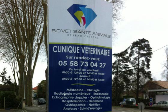 Membre fondateur du Réseau Cristal, réseau national de cliniques vétérinaires. Membre fondateur du Réseau Cristal, réseau national de cliniques vétérinaires.