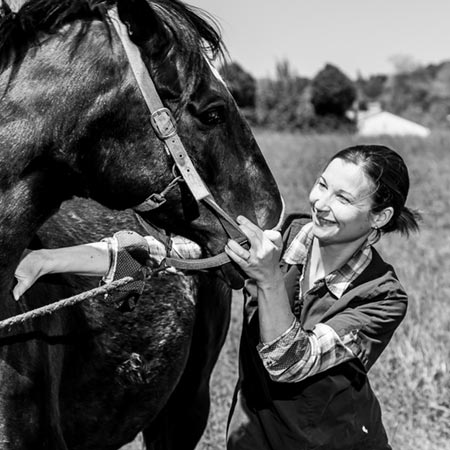 L'ostéopathie équine