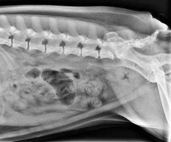 Plateau technique radiologie numérique