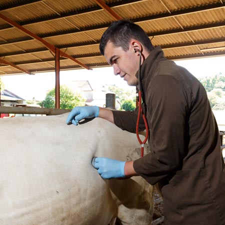 Suivi de reproduction et alimentation